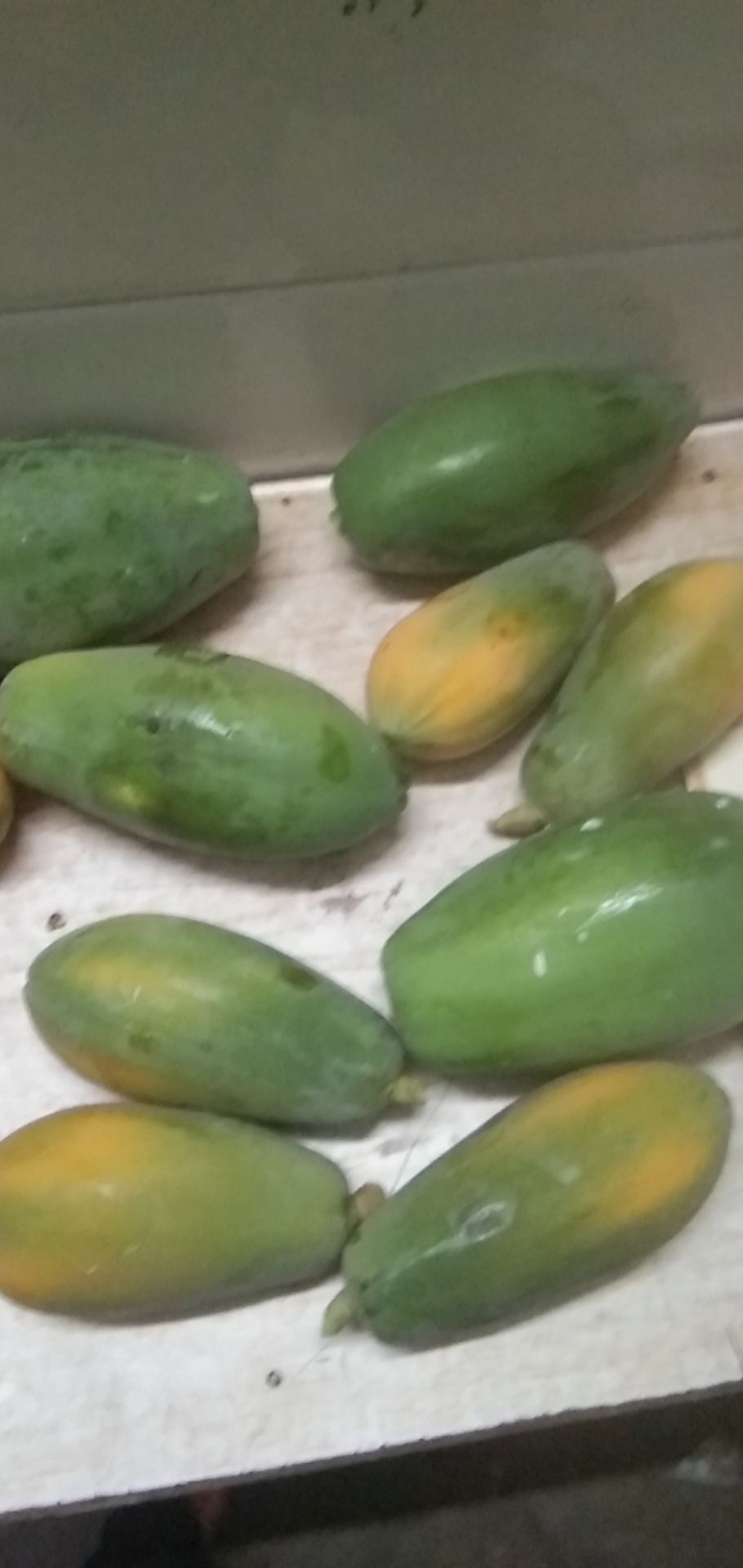 大青中白肉红至3点  红心木瓜一年四季都大量上市，产地直供，货源充足，价格美丽