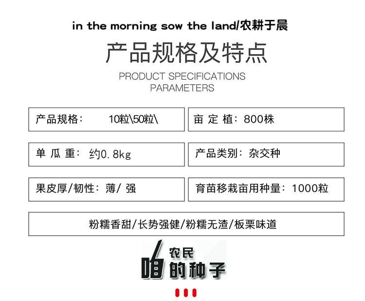 黑贝贝南瓜种子浓香板栗味小南瓜种籽粉面香甜种源四季蔬菜子