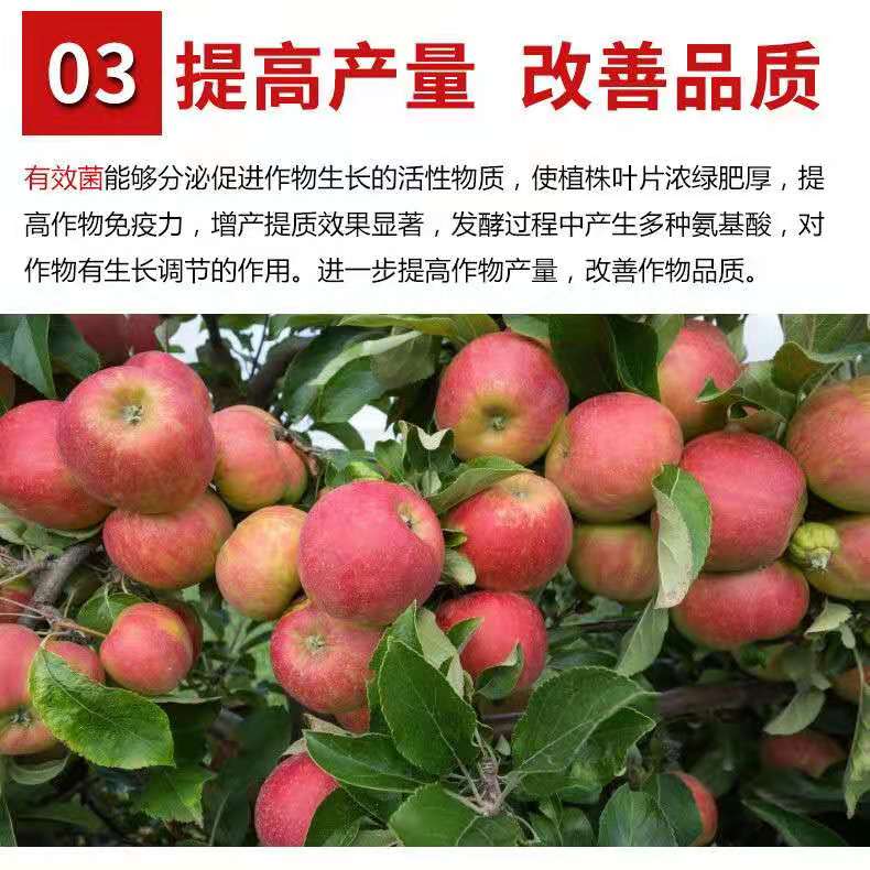 复合微生物肥 生物有机菌肥 有机肥 全水溶颗粒肥