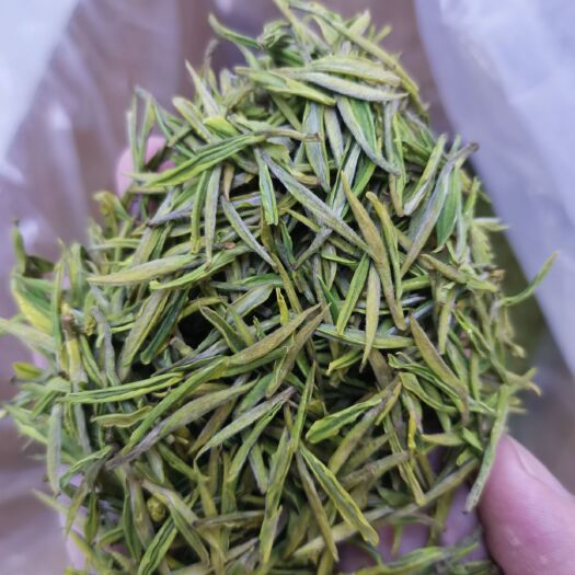 安吉县 正宗安吉白茶特级茶散装