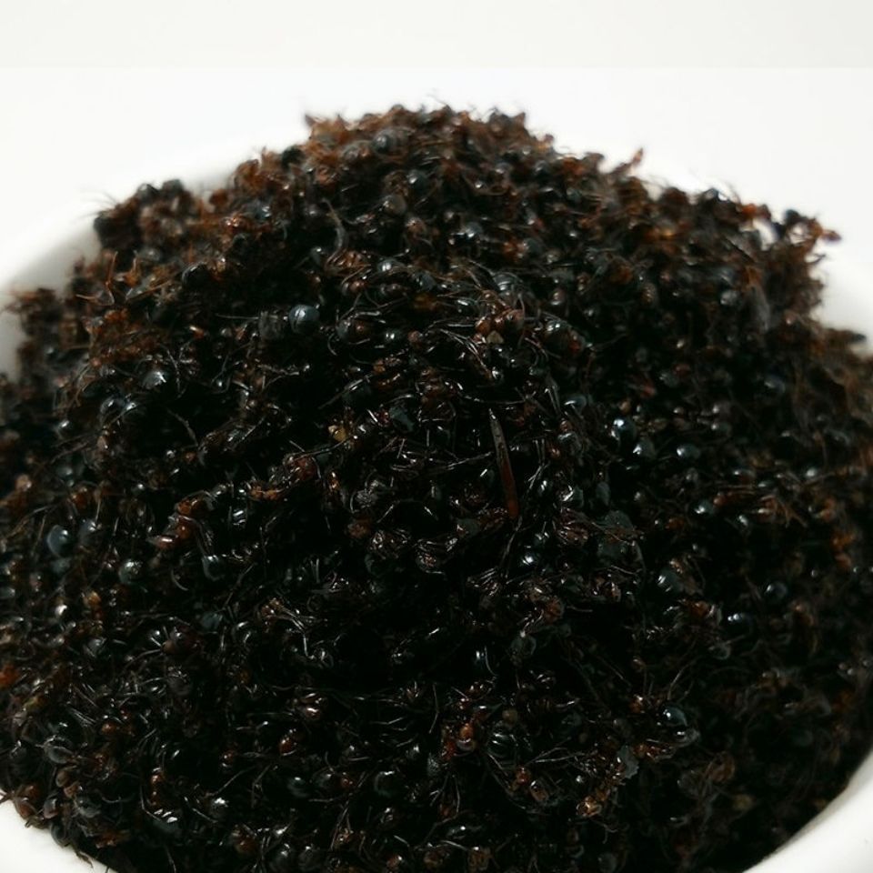 蚂蚁 黑蚂蚁 产地辽宁 打粉级干度 手捏成沫 各种动物类药材