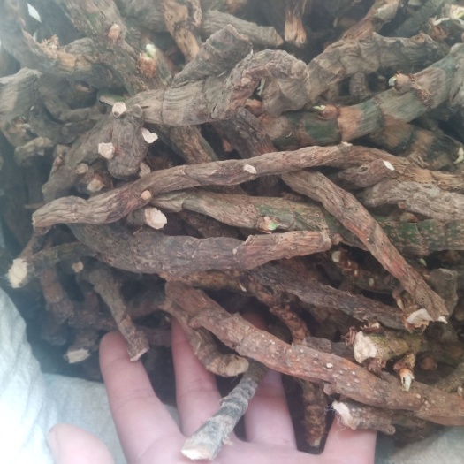 临沂水菖蒲（臭蒲根）新货山东临沂产地直销干净