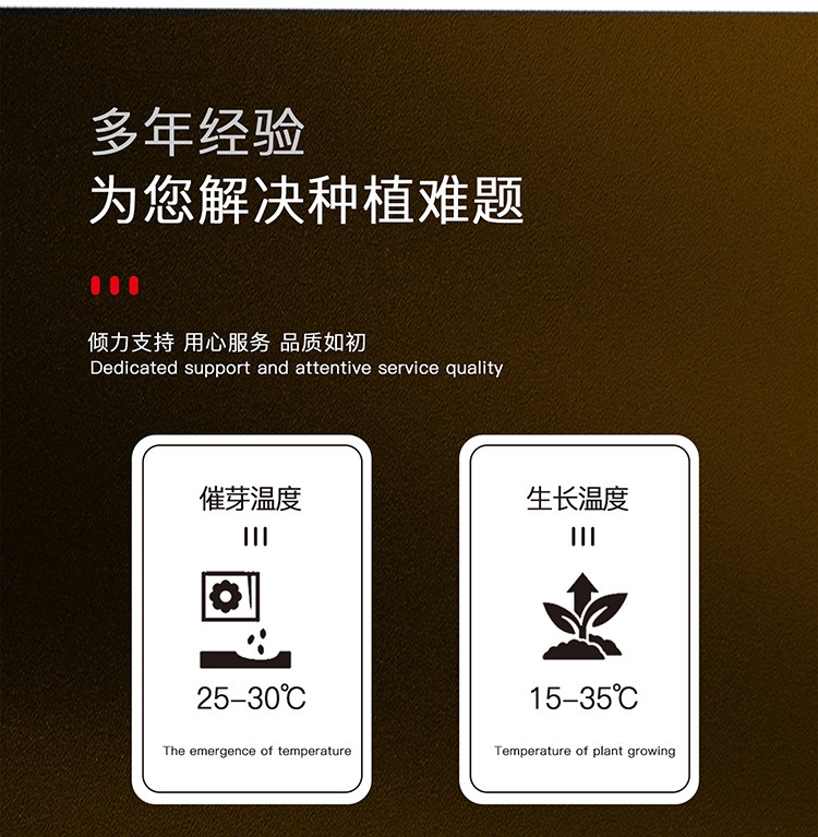黑贝贝南瓜种子浓香板栗味小南瓜种籽粉面香甜种源四季蔬菜子