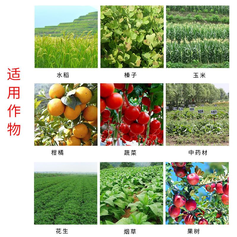 20％氟铃辛硫磷水稻钻心虫二化螟草地贪夜蛾棉花甘蔗钻心虫农药