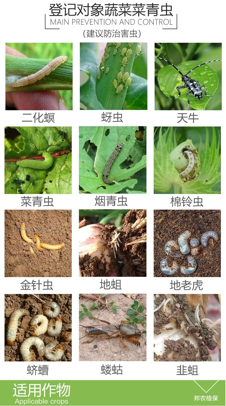 20％氟铃辛硫磷水稻钻心虫二化螟草地贪夜蛾棉花甘蔗钻心虫农药