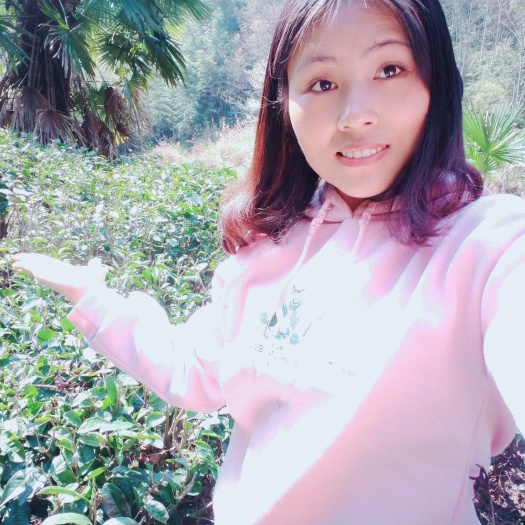 上犹县毛尖茶  农家有机茶~高山云雾茶