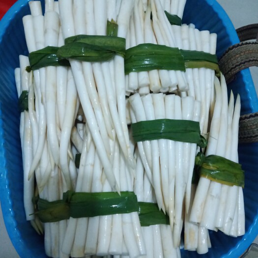 文山市 云南文山象牙菜每天供货需要的请联系