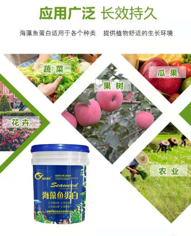 叶面肥  海藻鱼蛋白  七天可以看出效果 产品