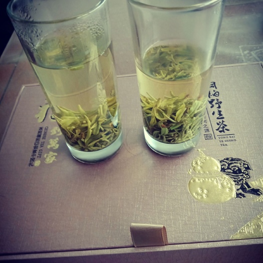 桐柏县柳溪玉叶 桐柏准河源头野山绿茶