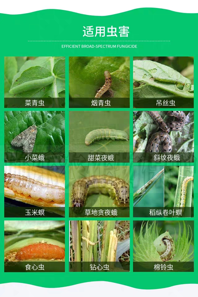 圣丰横扫 1.8阿维菌素助剂稻纵卷叶螟二化螟专心虫果树食心虫
