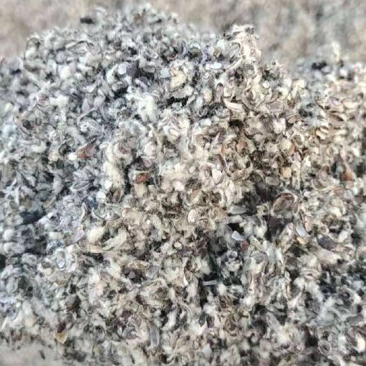 奎屯市棉籽壳  新疆棉壳 中绵中壳散装