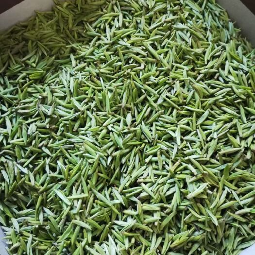平利县云雾茶  茶，高山自产自销绿茶，天然，富含硒元素。
