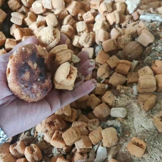 石家庄虾饼  猪牛羊