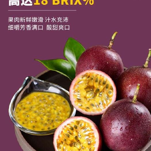 新宁县 云南小紫香一号百香果
