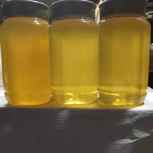 重庆市 土蜂蜜