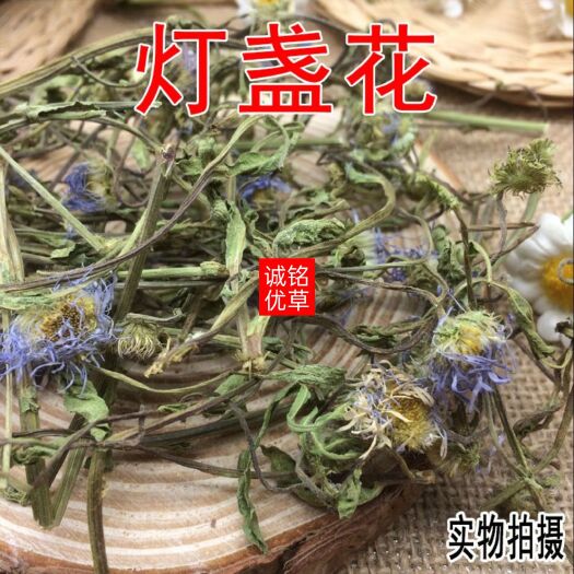 昆明 2021新货 云南红河灯盏花 灯盏细辛