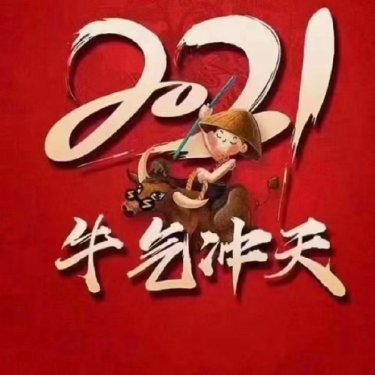 东丰县肉牛 400-600斤 公牛 