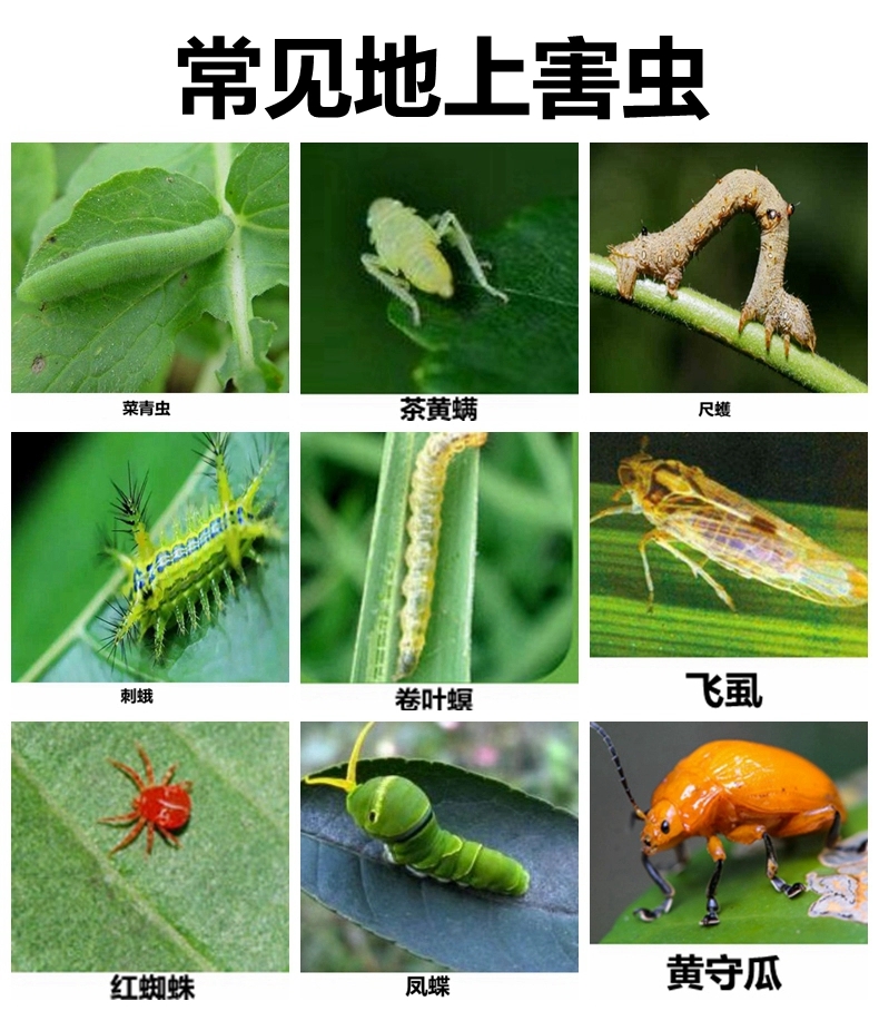 20％氟铃辛硫磷水稻钻心虫二化螟草地贪夜蛾棉花甘蔗钻心虫农药