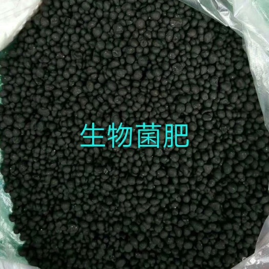 青岛芽孢杆菌 生物肥