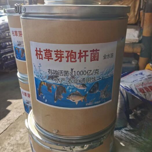 济南生物菌肥，