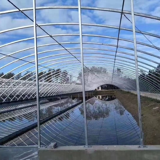 天津 大棚骨架养殖棚种植棚日光温室