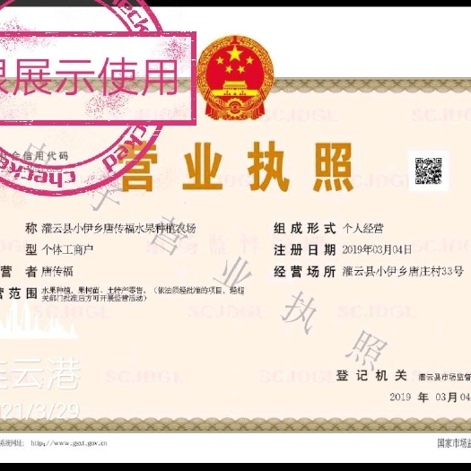 灌云县巨峰葡萄苗  拆迁葡萄苗