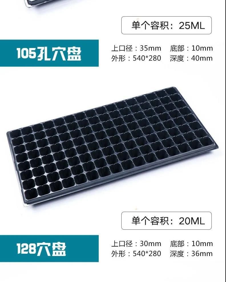 穴盘/育苗盘 育苗盘加厚穴盘托盘
