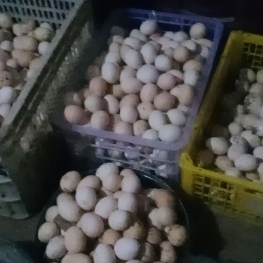 衡水土鸡蛋 食用 箱装 