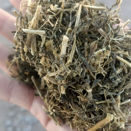 阿旗青储草 苜蓿青储，质量保证