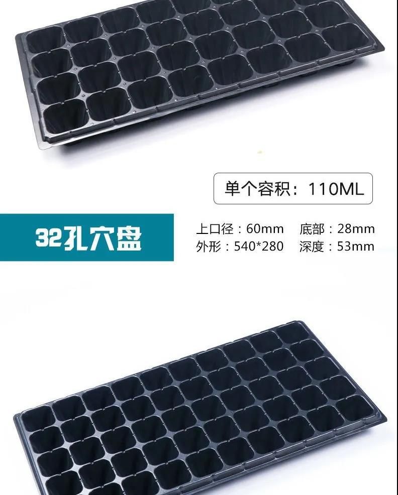 穴盘/育苗盘 育苗盘加厚穴盘托盘