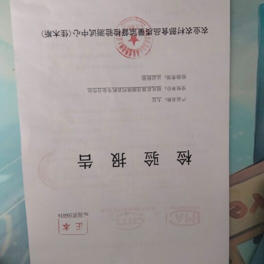 嘉荫县黄大豆 高蛋白，7.0大颗粒无豆辩无杂质
