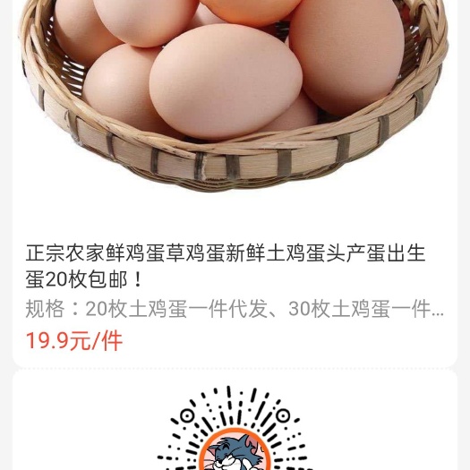 信丰县绿壳蛋  江西鸡蛋