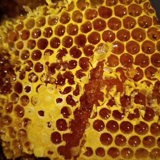 临沧百花蜜 云南纯蜂蜜