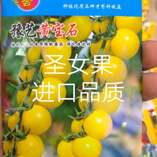 扶沟县樱桃番茄种子  圣女果番茄种，黄宝石番茄种子无限生长抗性好口