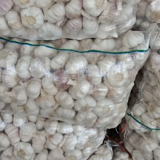 佛山红皮蒜 邳州净蒜，（6.5公分）（7.0公分），云南洋葱