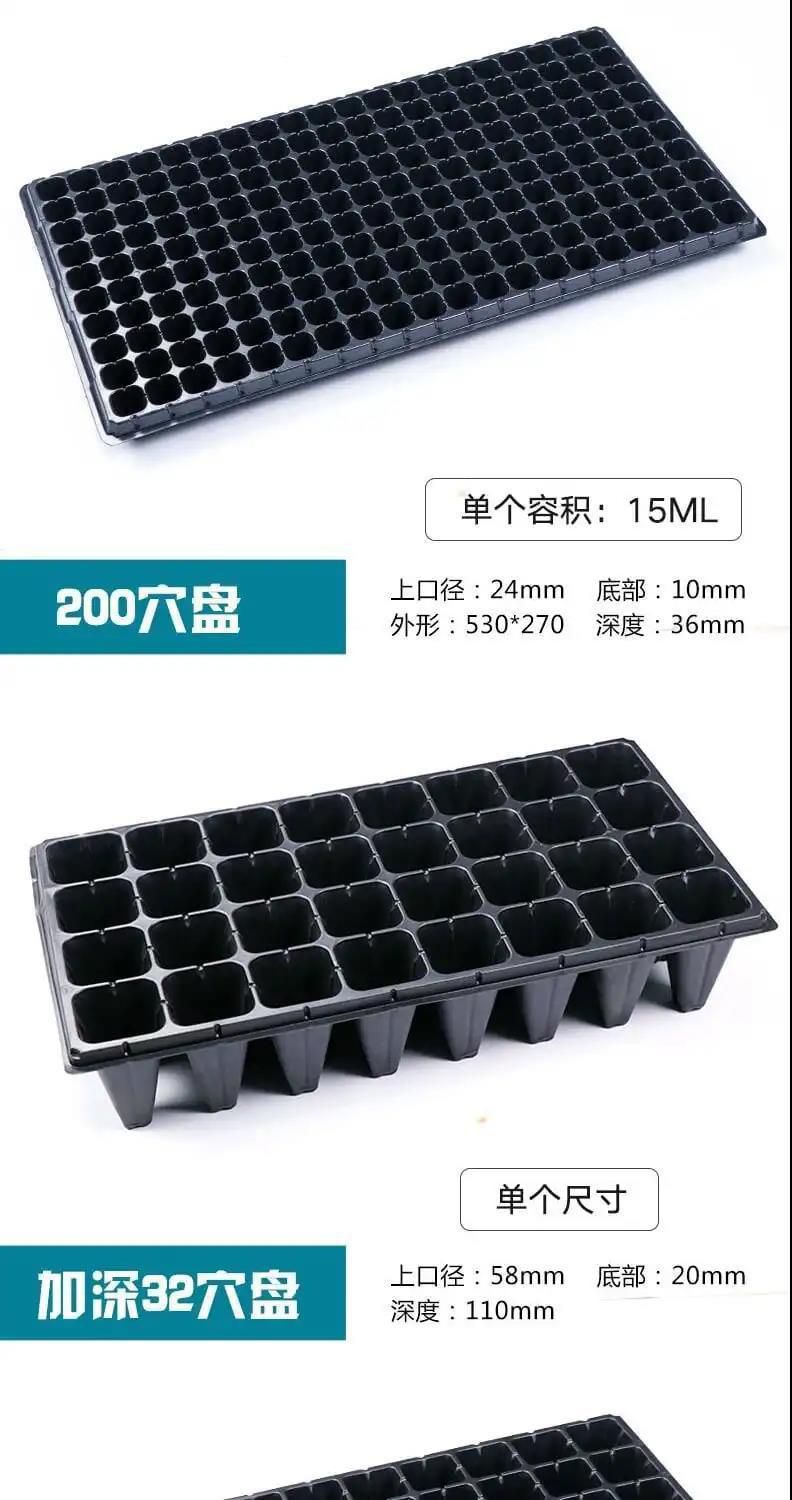 穴盘/育苗盘 育苗盘加厚穴盘托盘