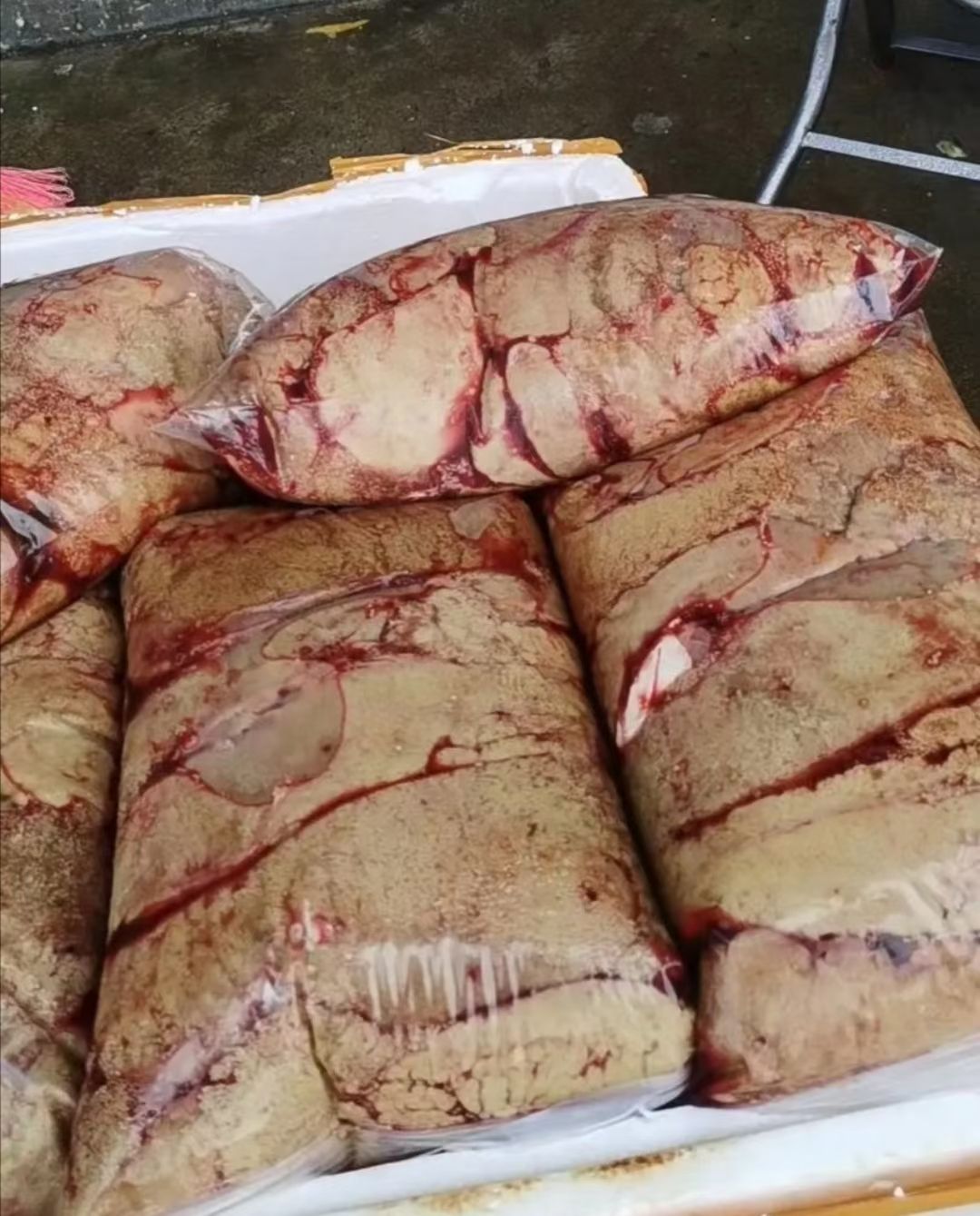 花胶  鱼泡通货，草鱼泡大小通货，