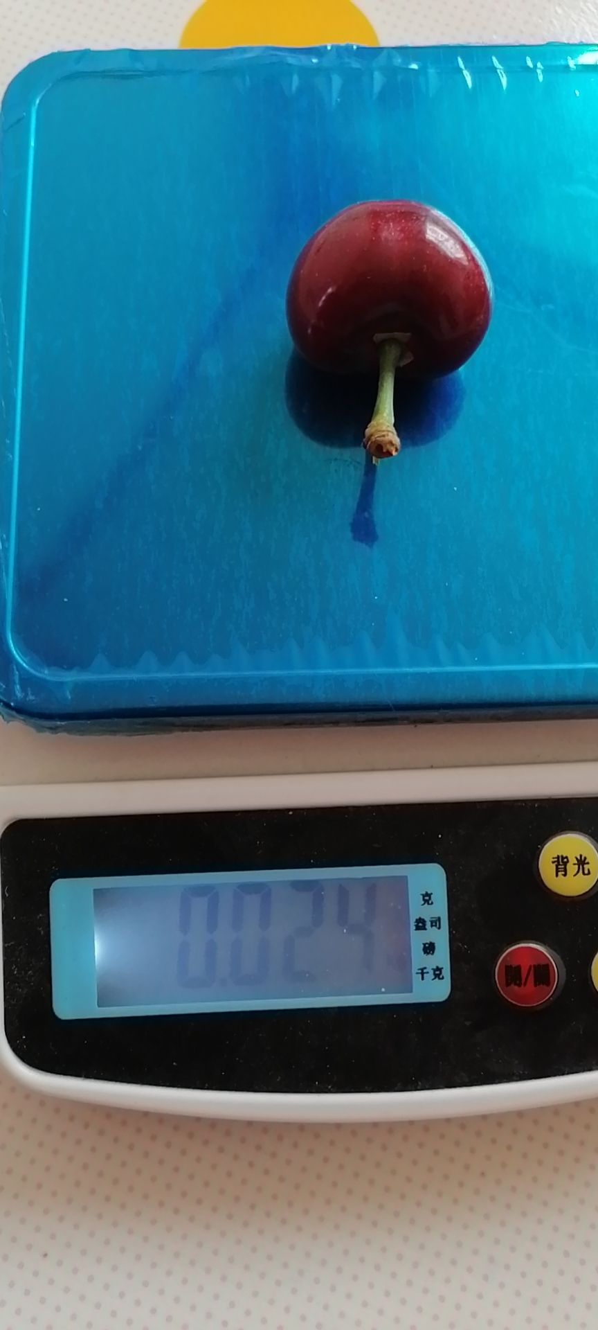  大连美早樱桃，批发价加快递费