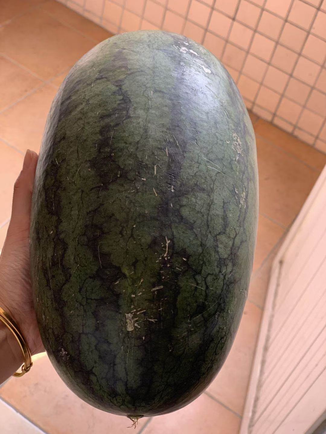 越南黑美人西瓜