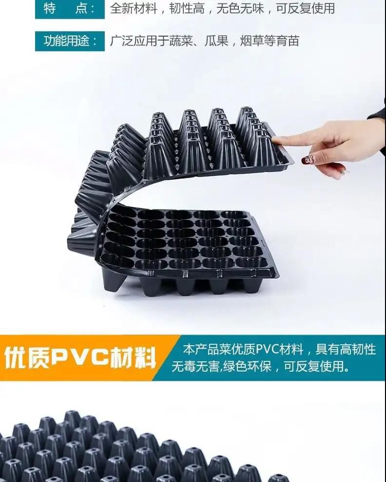 穴盘/育苗盘 育苗盘加厚穴盘托盘