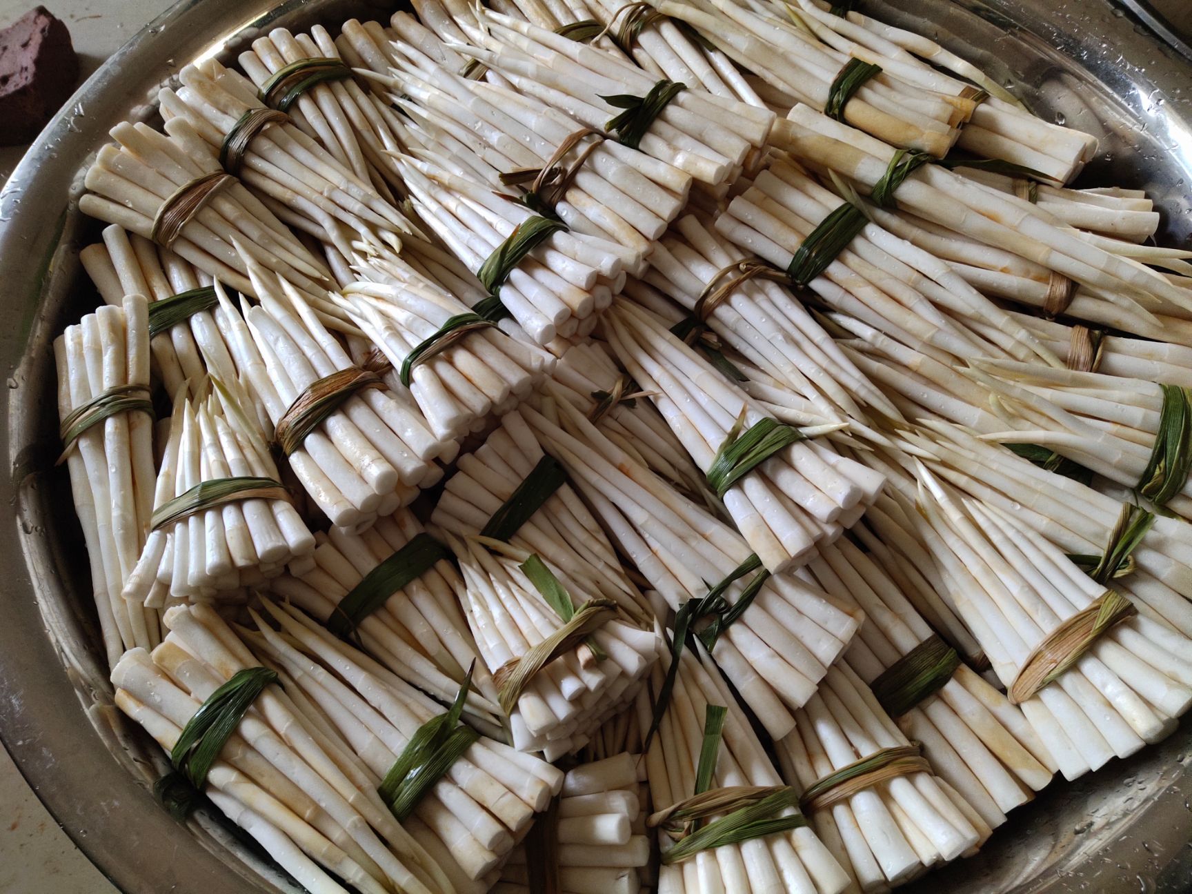 每天现摘新鲜草芽（象牙菜）