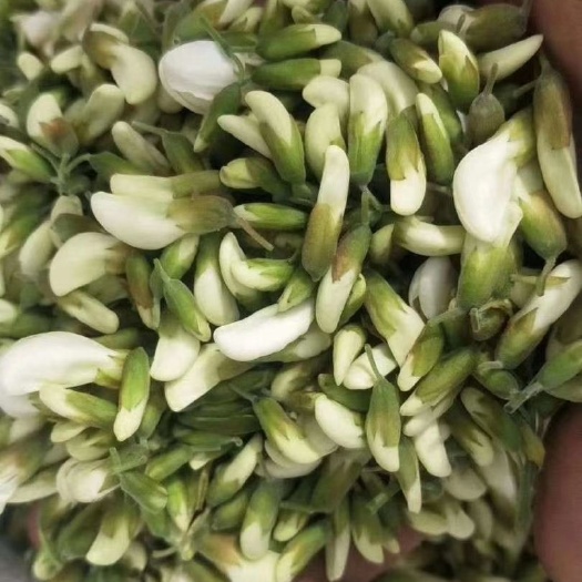 汝州市洋槐花现摘现发