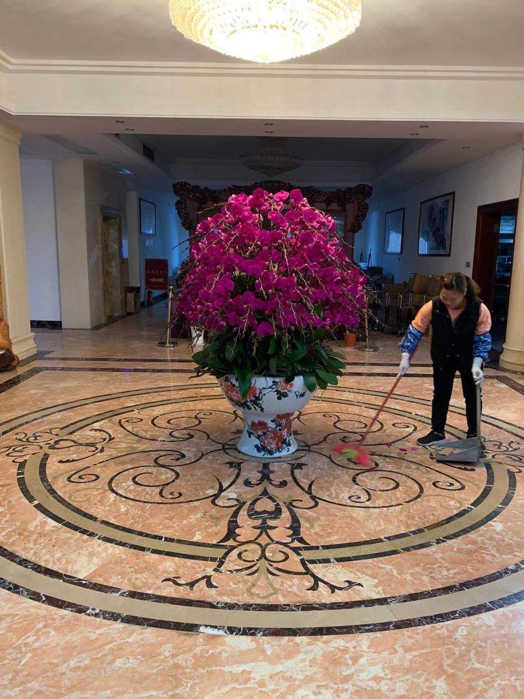 蝴蝶兰兰花盆栽办公室花卉阳台植物懒人花四季开花桌面花保证对版