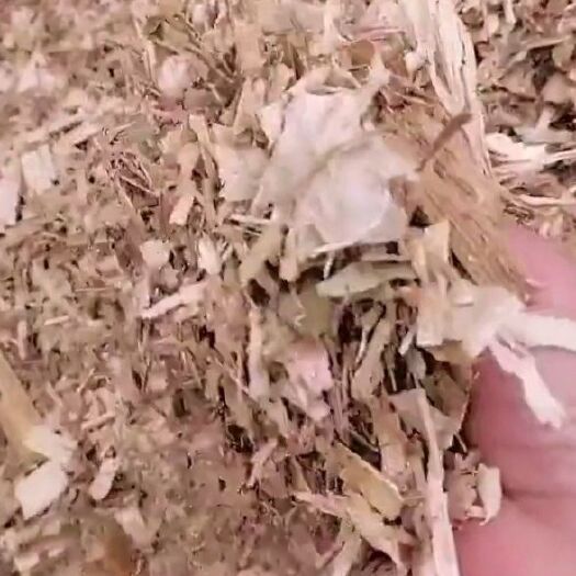 建昌县玉米秸秆大块过夏储存