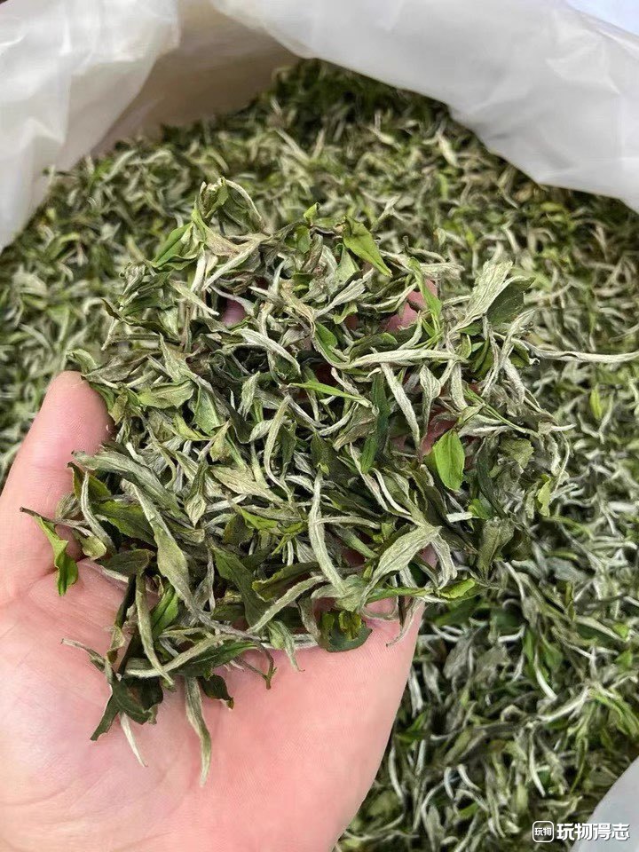 白牡丹茶  精选2023年福鼎高山花香头春白牡丹散茶