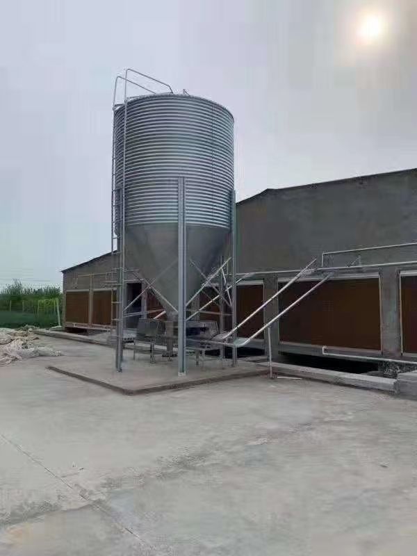 养殖设备  厂家直销畜牧养殖养殖料线设备喂料仓镀锌饲料塔料塔料线