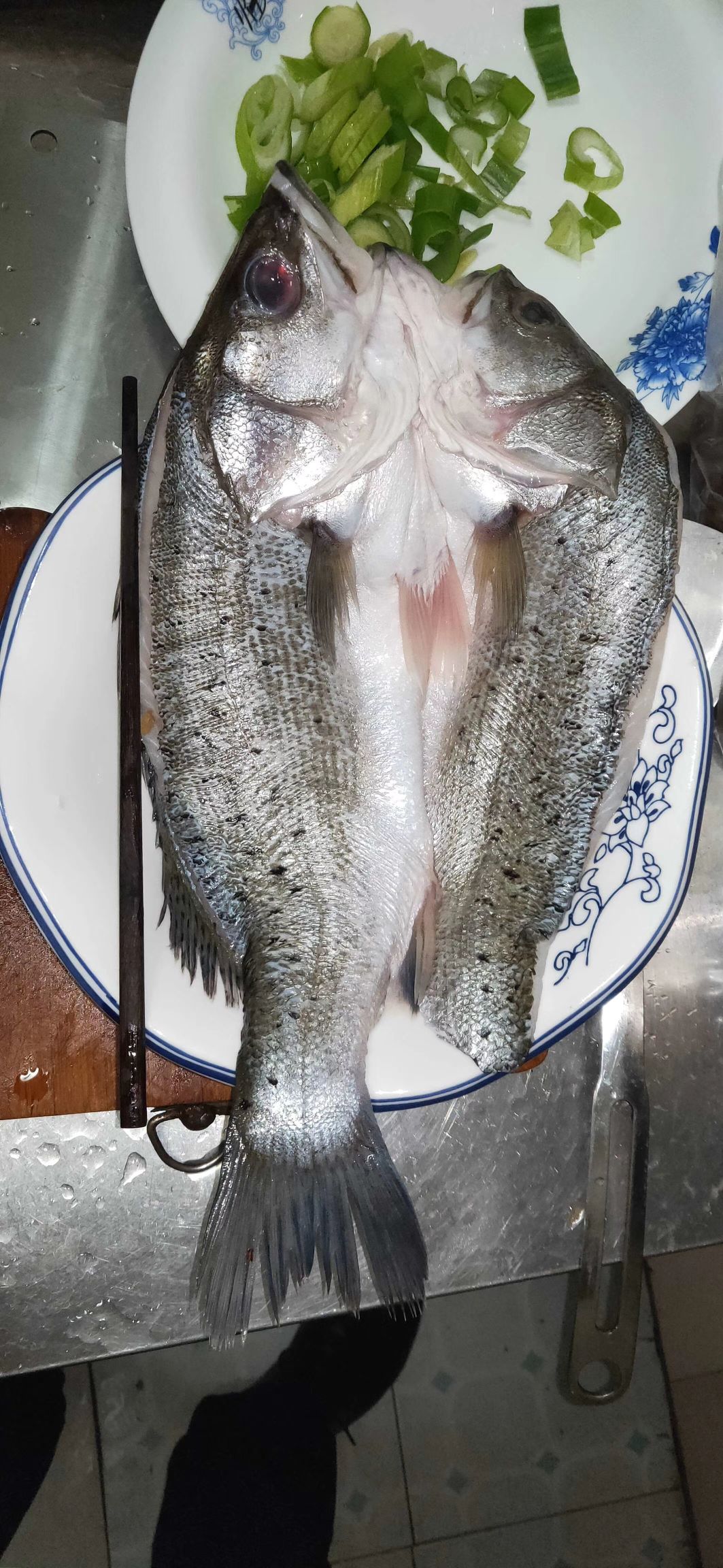 廠家直銷 海鱸魚 一鹵鮮開背海鱸魚 去麟去鰓去內(nèi)臟