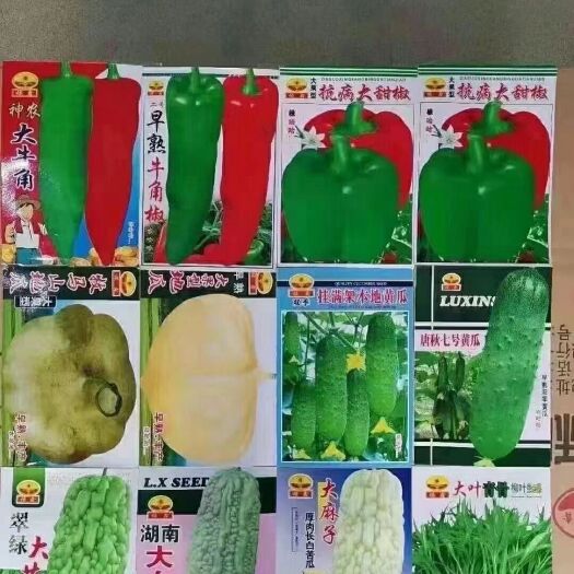 西安香菜种子 种子批发 上百种