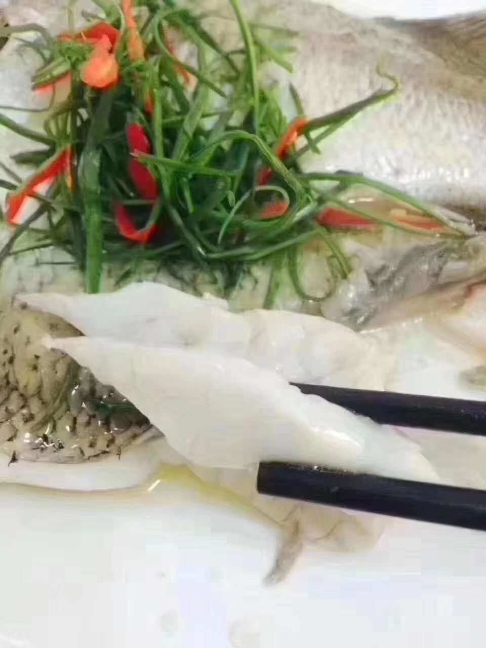 厂家直销 海鲈鱼 一卤鲜整条海鲈鱼 去麟去鳃去内脏