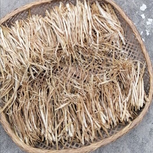 洞口县罗溪小竹笋